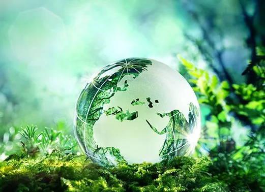 A glass globe resting on moss